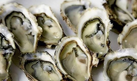 5 thuc pham duoc menh danh 'vua bo than trang duong'