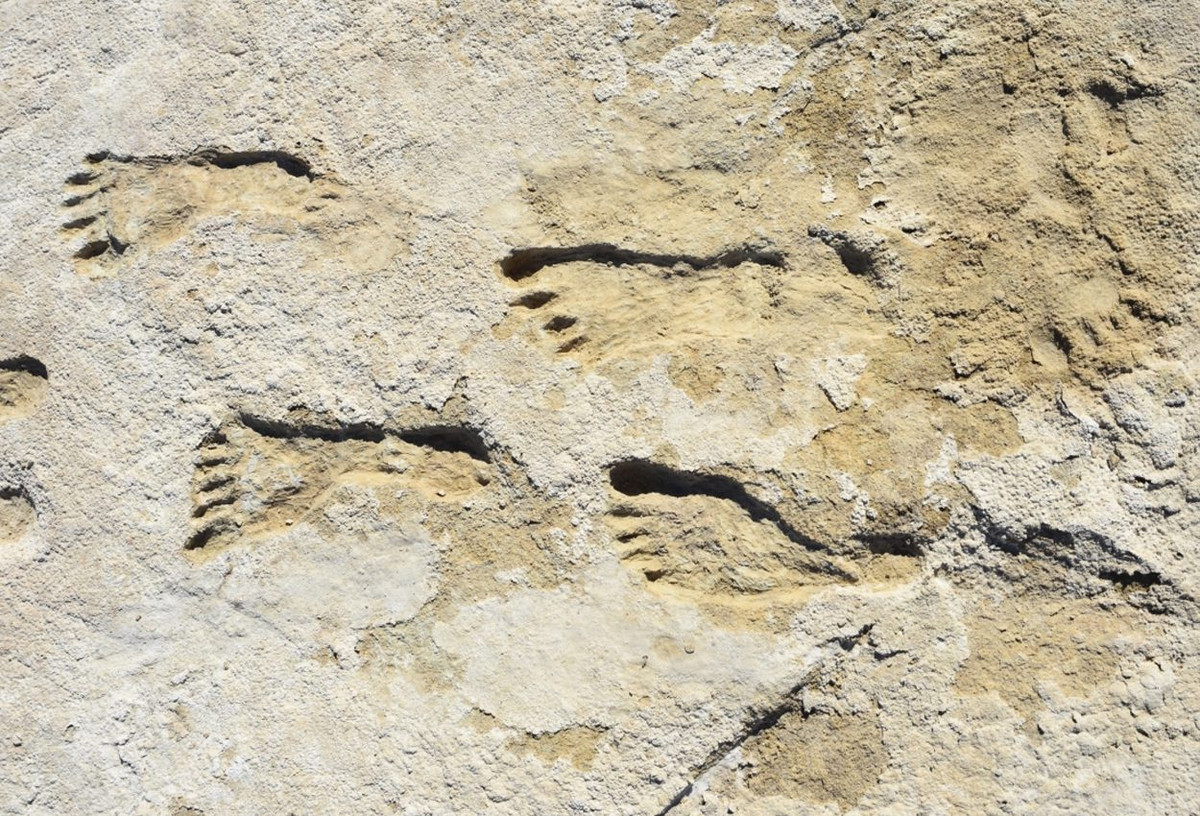 Những phát hiện khảo cổ làm thay đổi lịch sử trong năm qua - Hình 3 Nhung phat hien khao co lam thay doi lich su trong nam qua-Hinh-3