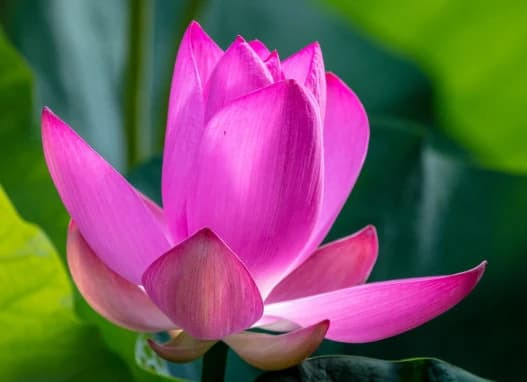 7 ngay sinh cua nguoi giau nhat, sinh ra se la quan chuc-Hinh-3