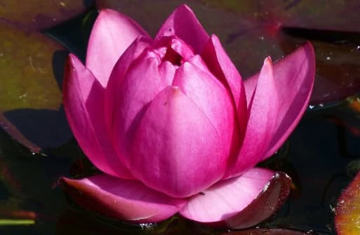 7 ngay sinh cua nguoi giau nhat, sinh ra se la quan chuc-Hinh-2