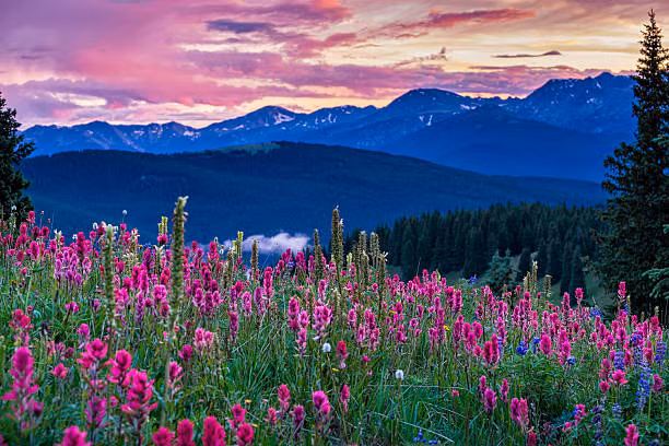 Con giap tuoi Thin sinh vao 3 thang Am lich nay-Hinh-3