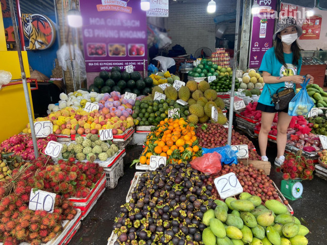 Đắt ngang nho Mỹ, loại mận trồng trên núi cao Việt Nam siêu hút khách Dat ngang nho My, loai man trong tren nui cao Viet Nam sieu hut khach