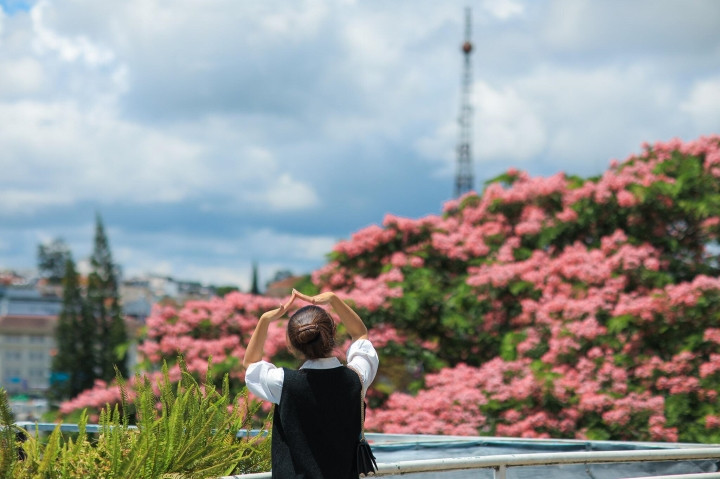 Đà Lạt mùa hè vẫn 'đẹp rụng rời' bởi màu sắc của hoa phượng hồng - Hình 10 Da Lat mua he van 'dep rung roi' boi mau sac cua hoa phuong hong-Hinh-10