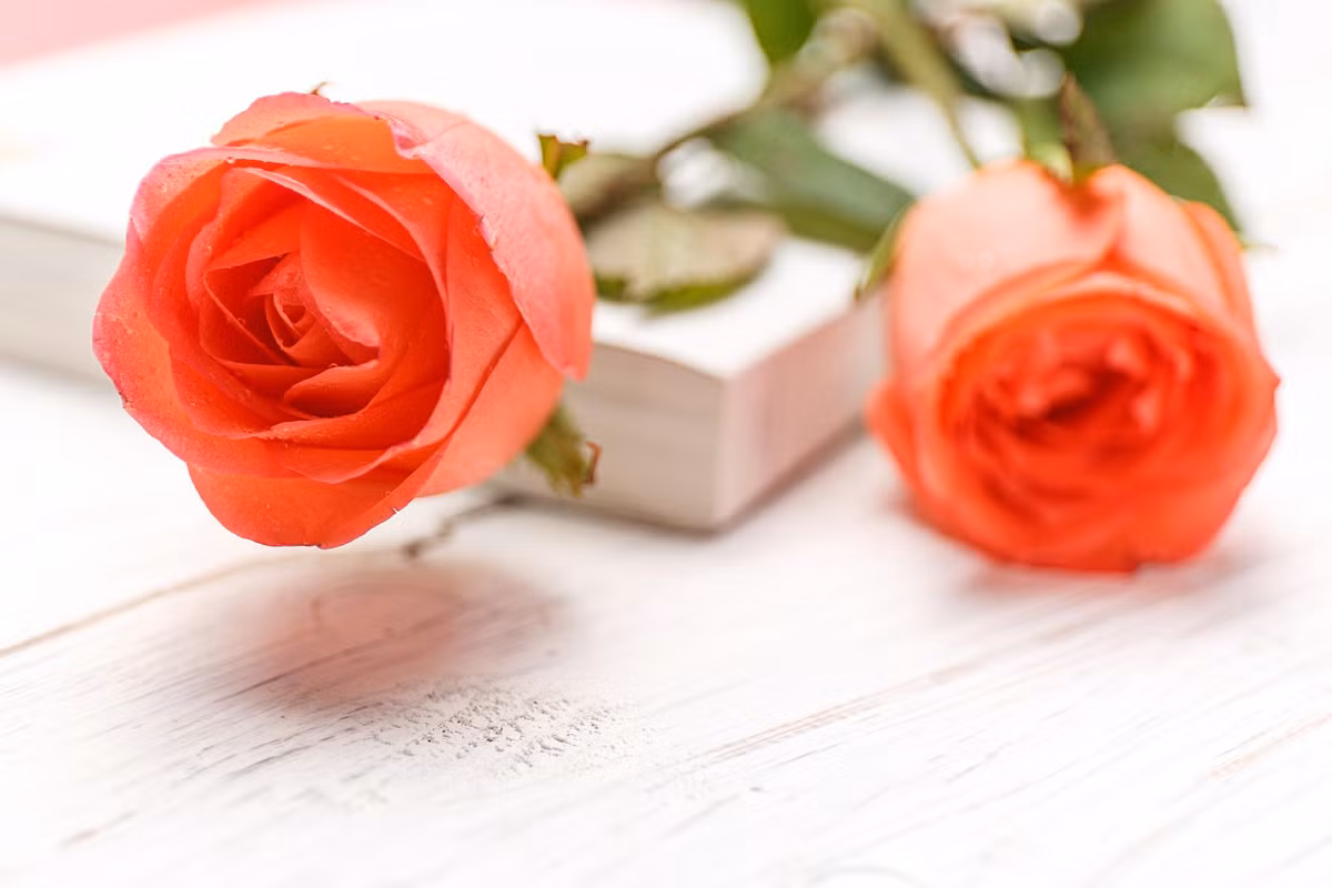 Ai co ngay sinh Am lich ket thuc bang 4 so nay, ve gia am no