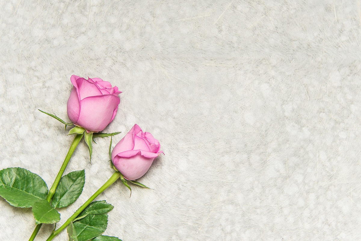 Ai có ngày sinh Âm lịch kết thúc bằng 4 số này, về già ấm no - Hình 2 Ai co ngay sinh Am lich ket thuc bang 4 so nay, ve gia am no-Hinh-2