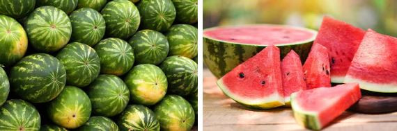 Sa mac co mot loai dua hau ky la nhung khong ai dam an