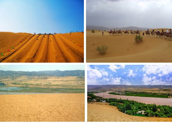 Sa mac co mot loai dua hau ky la nhung khong ai dam an-Hinh-2