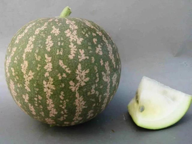 Sa mac co mot loai dua hau ky la nhung khong ai dam an-Hinh-5