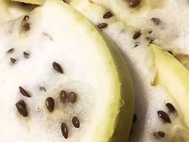 Sa mac co mot loai dua hau ky la nhung khong ai dam an-Hinh-6