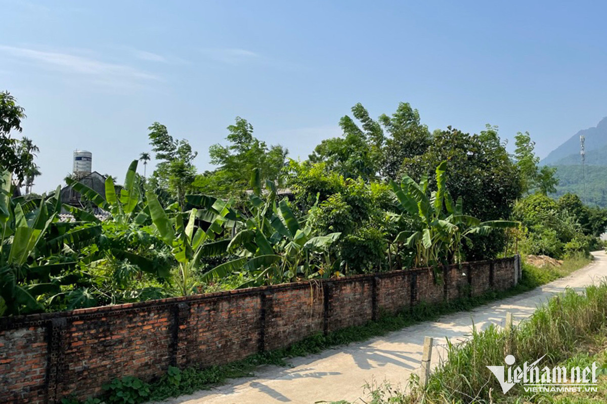 Nha dau tu mac ket tien ty, mat an mat ngu vi tin loi 'co'