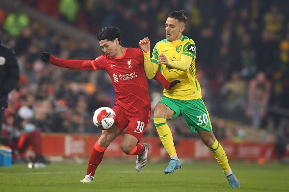 Minamino va moi tinh chi em voi nguoi mau Nhat Ban-Hinh-8