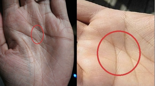 Họ có trực giác nhạy bén, trí nhớ tốt, hay quan sát các chi tiết. Phần lớn họ đều có phẩm chất lãnh đạo hoặc là người xuất chúng trong xã hội, được người đời yêu mến, trọng vọng.