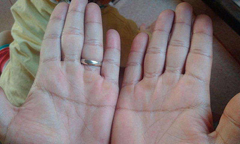 Họ rất thông minh, ham học hỏi, rất sáng tạo và luôn khát khao chiến thắng. Đôi khi họ cũng khá cứng nhắc và bảo thủ.