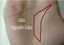 Đàn ông sở hữu tướng tay này là những người giỏi tích tiểu thành đại, biết cách phát triển sự nghiệp. Phụ nữ sở hữu tướng lòng bàn tay có hình thỏi vàng khá cá tính, mọi người kiêng nể về sự mạnh mẽ của họ.