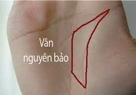 Đàn ông sở hữu tướng tay này là những người giỏi tích tiểu thành đại, biết cách phát triển sự nghiệp. Phụ nữ sở hữu tướng lòng bàn tay có hình thỏi vàng khá cá tính, mọi người kiêng nể về sự mạnh mẽ của họ.