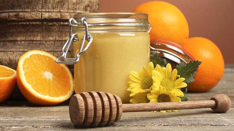 5 mon do bo khien con day thi som-Hinh-3