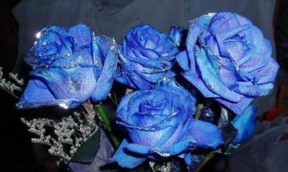 Nguoi phu nu sinh vao 3 khung gio nay cuoc doi sung suong hanh phuc-Hinh-3