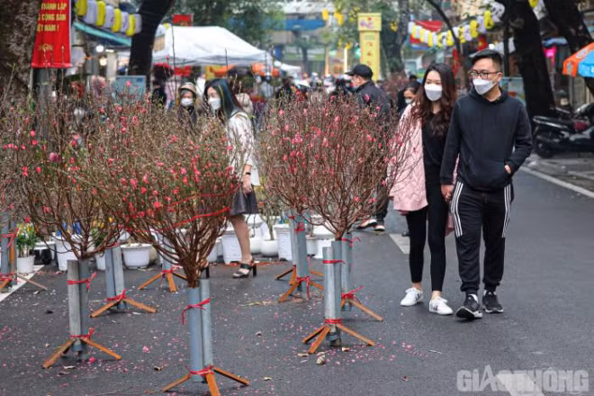 Cho hoa trong long pho co Ha Noi vang lang ngay can Tet-Hinh-2
