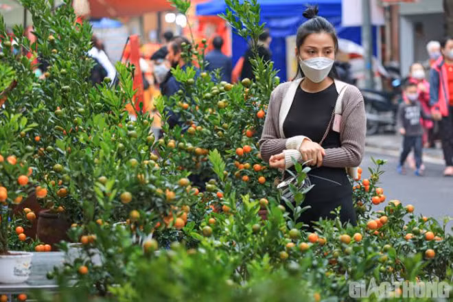 Cho hoa trong long pho co Ha Noi vang lang ngay can Tet-Hinh-7