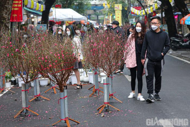 Cho hoa trong long pho co Ha Noi vang lang ngay can Tet-Hinh-2