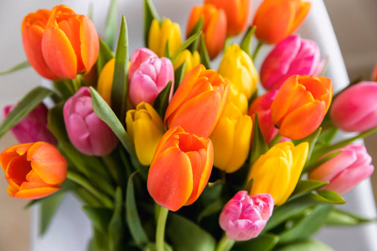 7 ngay toi trong thang 6, 3 con giap co su nghiep thang hoa-Hinh-3