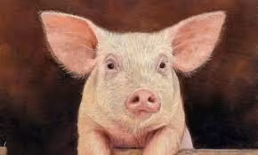 Trong tháng 3 này, người tuổi Hợi có tài lộc rủng rỉnh, cuộc sống ngày một khởi sắc.