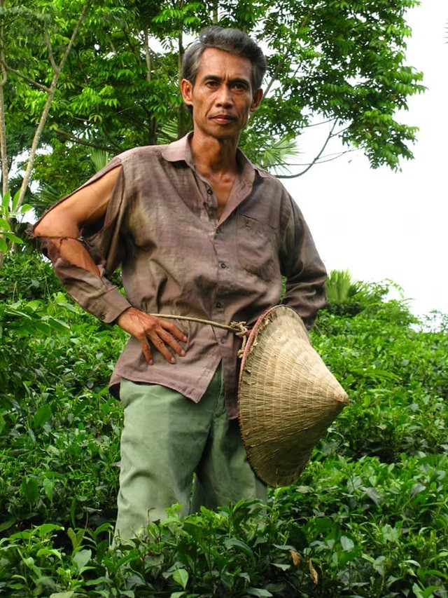 Dù sinh trưởng trong một gia đình gốc Hà Nội nhưng Phú Đôn vào vai lão nông hay những vai diễn lao động chất phác rất "ngọt" và đời. Đến với nghệ thuật một cách nghiêm túc nên người nghệ sĩ lúc nào cũng muốn cống hiến cho khán giả những tác phẩm tốt nhất.