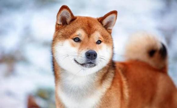 Ly do nguoi ngheo luon thieu tien, ban ron khong co thoi gian