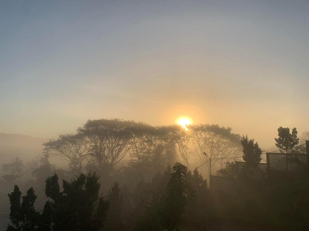 Ngoi nha o pho nui, lap lo sau nhung rang tung xanh-Hinh-12