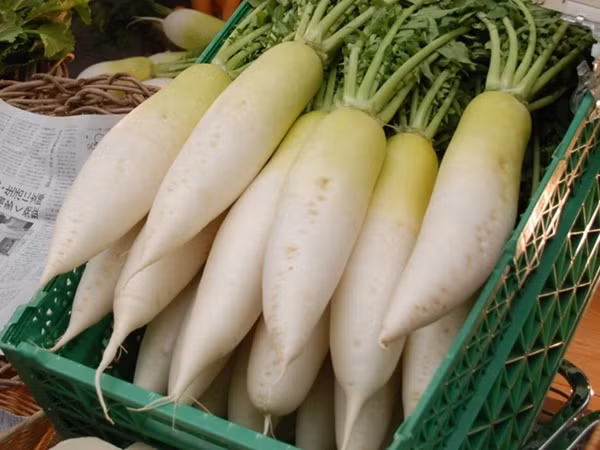 5 thu hoa doc khi uong cung voi sua-Hinh-4