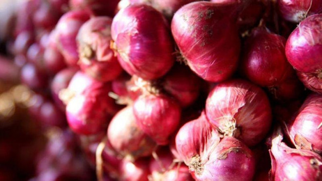 Cach phan biet hanh tim Trung Quoc va hanh tim Viet Nam