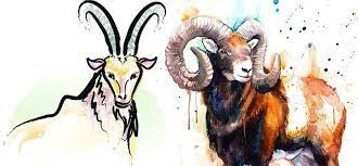  6. Trâu và Dê. Sửu và Mùi đều thuộc thổ, họ dường như có thể hỗ trợ cho nhau. Trong giai đoạn đầu của việc hẹn hò hoặc kết hôn, mối quan hệ của họ sẽ rất ngọt ngào, nhưng cả hai đều mạnh mẽ và dễ xảy ra xung đột.