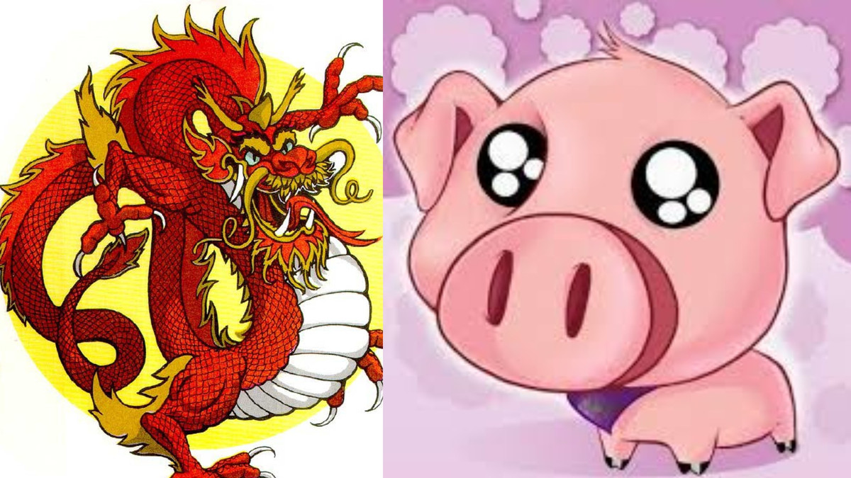 Cả hai hiện ra một tình huống “nước đến đắp đất”, bị thổ khắc chế, nếu tử số của con giáp giữa vợ và chồng quá mạnh hoặc quá vượng sẽ khiến cho cung Triệt bị thừa, sẽ ảnh hưởng đến tài lộc của hai vợ chồng, nhưng mức độ phù hợp vẫn cần được phân tích dựa trên số học của cả hai bên. 