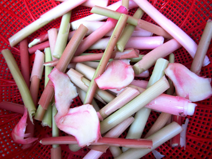 Thu tuong vut di khong ngo la dac san la, ban rat dat hang-Hinh-8