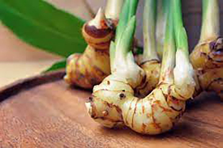 Thu tuong vut di khong ngo la dac san la, ban rat dat hang-Hinh-5