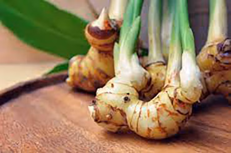 Thu tuong vut di khong ngo la dac san la, ban rat dat hang-Hinh-5