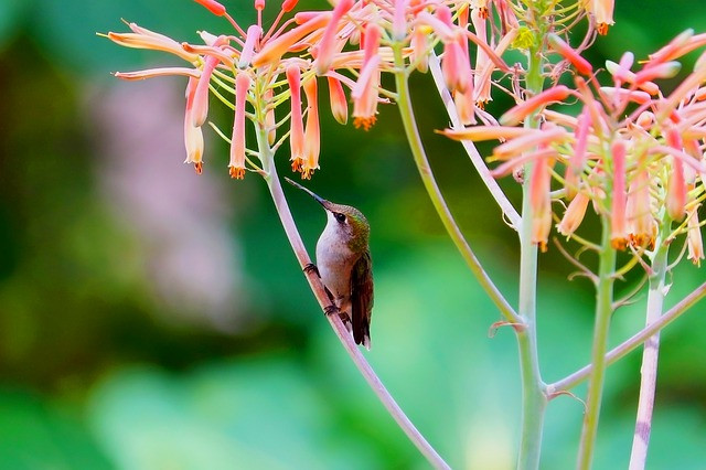 Tháng cuối cùng của năm 2022, 4 con giáp gặt hái nhiều thành công - Hình 2 Thang cuoi cung cua nam 2022, 4 con giap gat hai nhieu thanh cong-Hinh-2