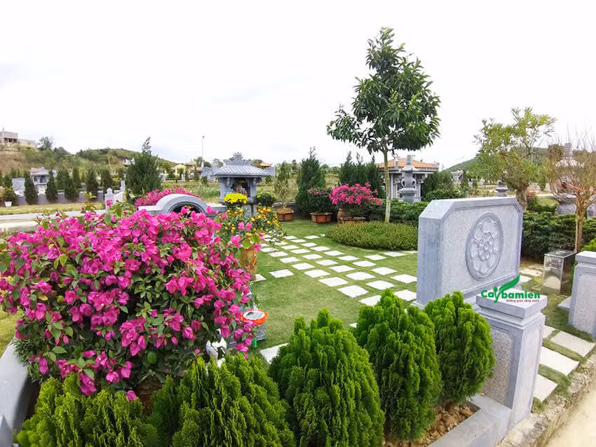 Không nên trồng các cây lệch. Theo quan niệm phong thủy trồng cây ở lăng mộ tổ tiên cần đảm bảo nguyên tắc đối xứng, đều nhau giữa trái phải. Có nghĩa là khi trồng cây gia chủ nên trồng có đôi và đối xứng nhau. Không nên trồng cây theo cảm tính. 