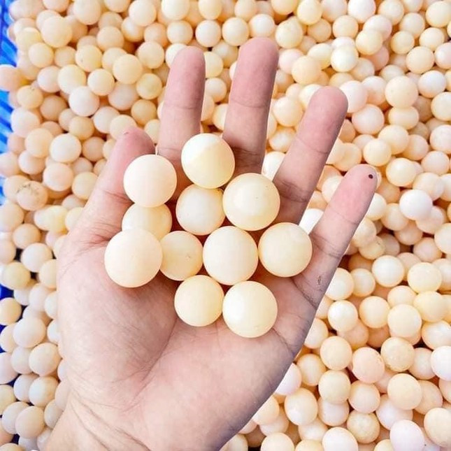 Loai trung dep nhu ngoc, ‘chay’ hang quanh nam-Hinh-3