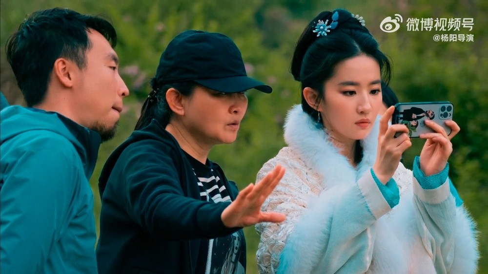 Trên QQ, Lưu Diệc Phi chia sẻ Triệu Phán Nhi có một số nét tính cách phản ánh con người cô ở hiện tại. Trang Mtime nhận định lựa chọn Mộng hoa lục là nước cờ khôn ngoan của nữ diễn viên. Kịch bản được đánh giá phù hợp với độ tuổi, khai thác thế mạnh nổi bật về vũ đạo, múa kiếm và khí chất cổ trang của Lưu Diệc Phi.