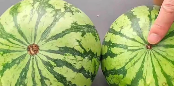Dùng 6 mẹo này chỉ cần nhìn qua là biết dưa ngọt - Hình 4 Dung 6 meo nay chi can nhin qua la biet dua ngot-Hinh-4