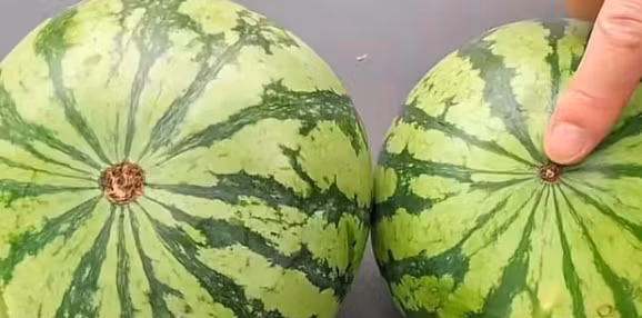 Dung 6 meo nay chi can nhin qua la biet dua ngot-Hinh-4