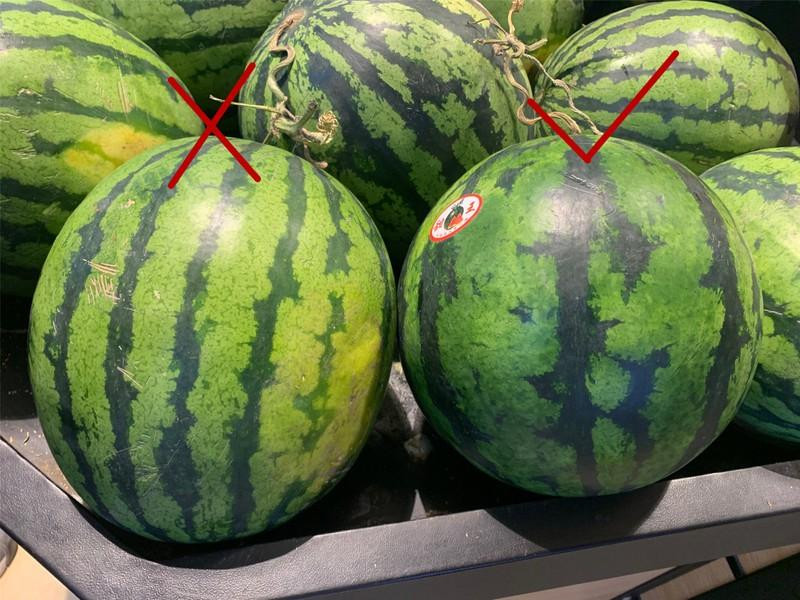 Dùng 6 mẹo này chỉ cần nhìn qua là biết dưa ngọt - Hình 2 Dung 6 meo nay chi can nhin qua la biet dua ngot-Hinh-2