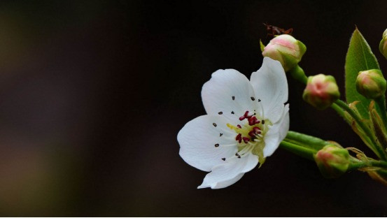 Gio sinh cua dua tre co sao may man chieu menh-Hinh-3