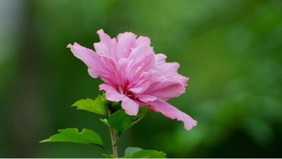 Gio sinh cua dua tre co sao may man chieu menh