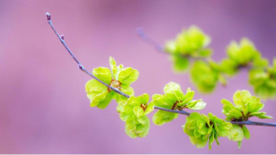 Gio sinh cua dua tre co sao may man chieu menh-Hinh-2