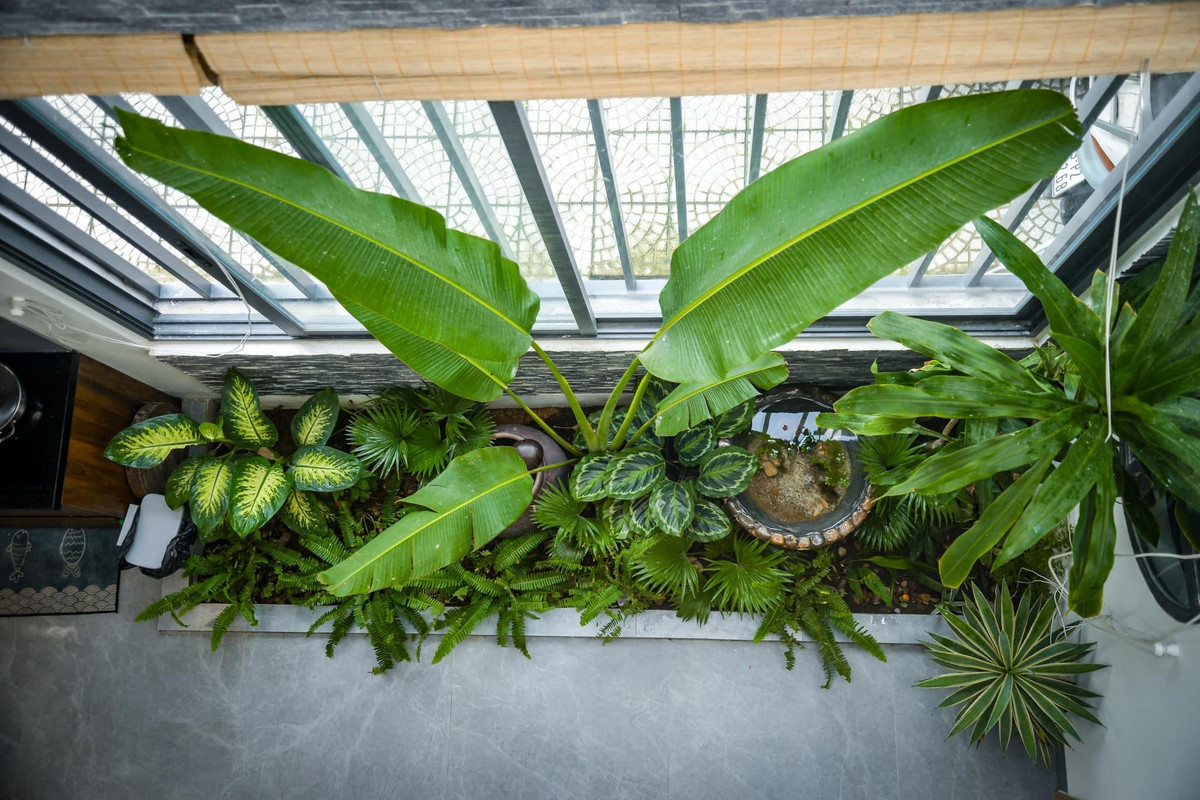 Ngoi nha trong ngo ngap cay xanh, goc ban an that chill ben khu vuon nho-Hinh-15