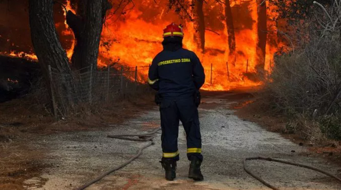 Chay rung, nang nong tiep dien o nhieu noi-Hinh-2