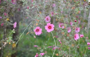 Tre sinh vao 3 khung gio Am lich nay, phuc khi doi dao-Hinh-6