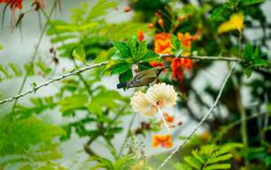 Tre sinh vao 3 khung gio Am lich nay, phuc khi doi dao-Hinh-8